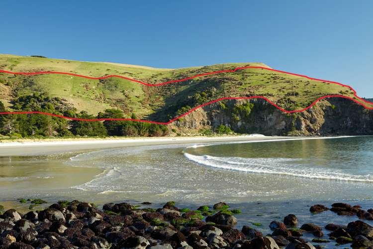 205 Heyward Point Road Heyward Point_7