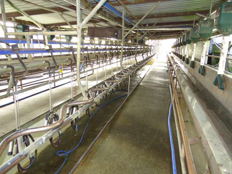 176 Prictor Road Wellsford_13