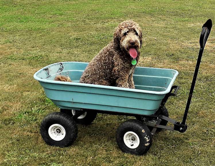 869 Woodcocks Road Kaipara Flats_22