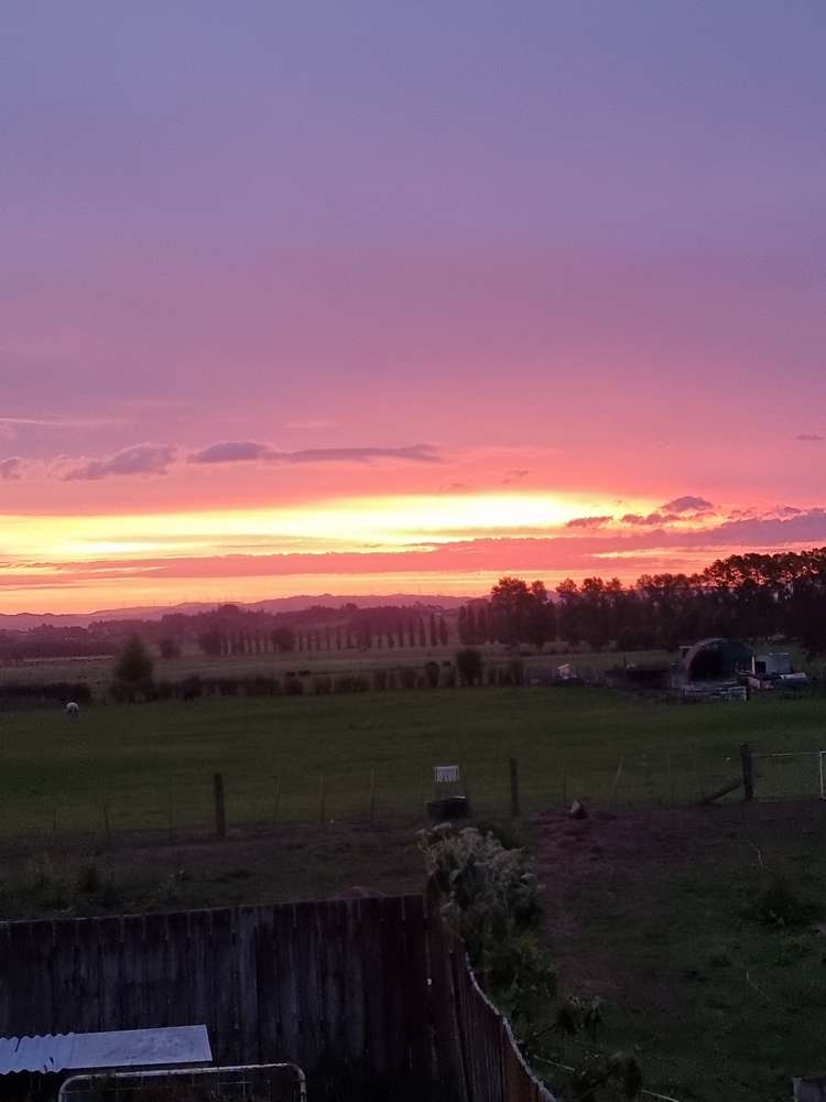 10 O'Brien Road Rotokauri_24