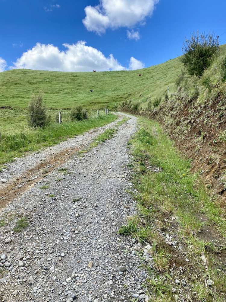 419 Motukawa Road Tarata_23