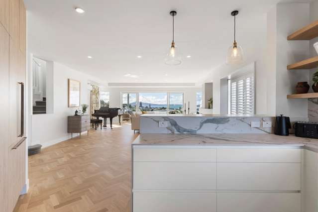 46 Brighton Road Parnell_4