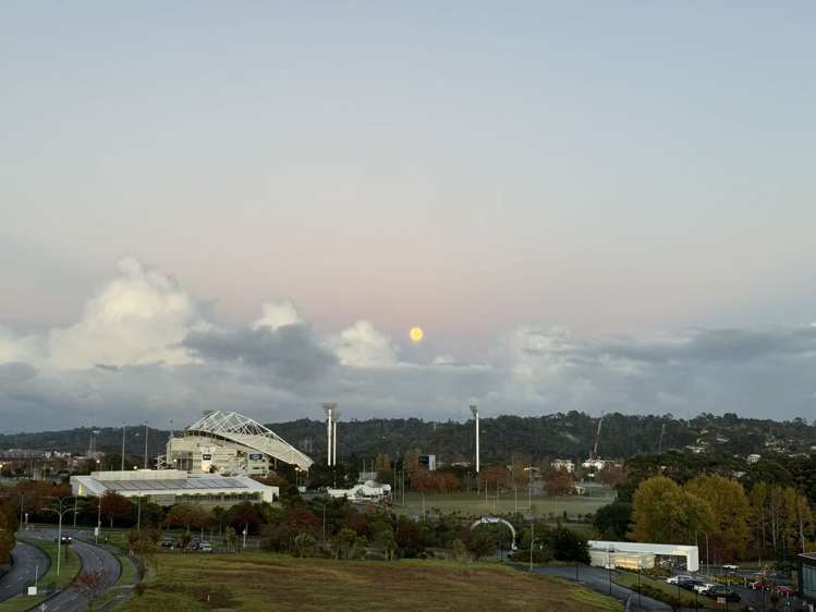 506/2A Munroe Lane Albany_10