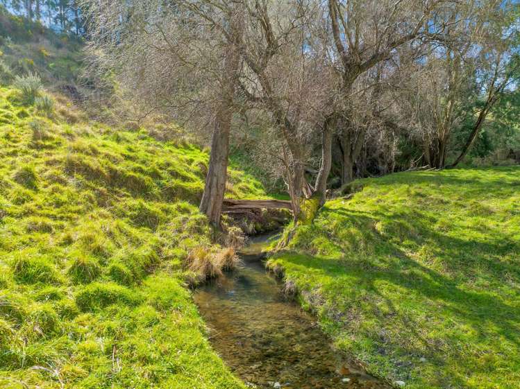 59 Hawkswood Road Cheviot_36