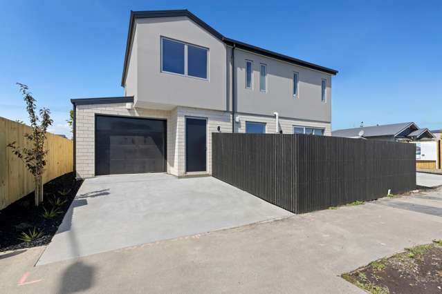 198 Lyttelton Street Spreydon_2