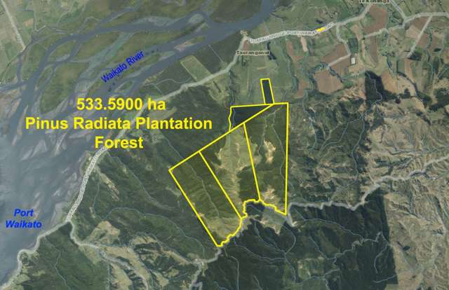 1036 Klondyke Road Port Waikato_4