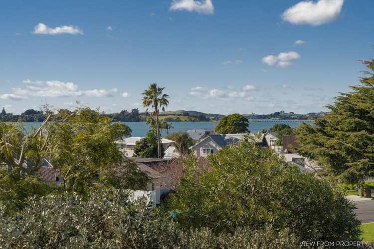 42A Harvey Street_4