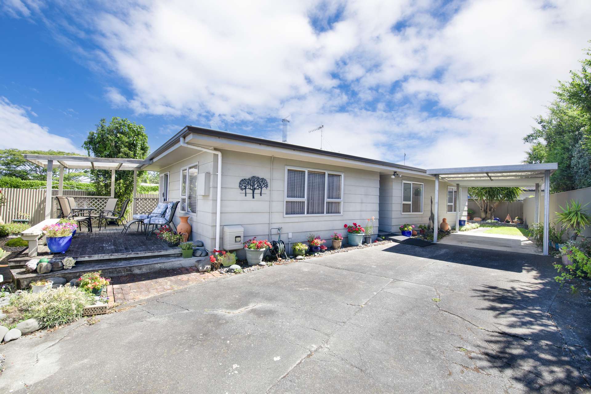 7A Bedford Road Marewa Napier City Houses for Sale One Roof