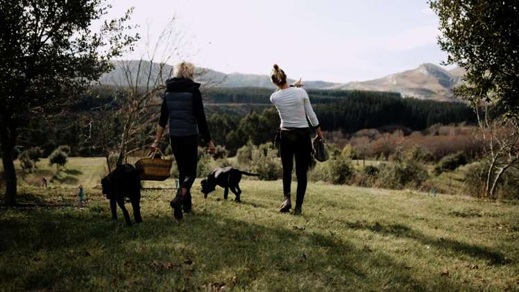 101 Laidmore Road Broomfield_22