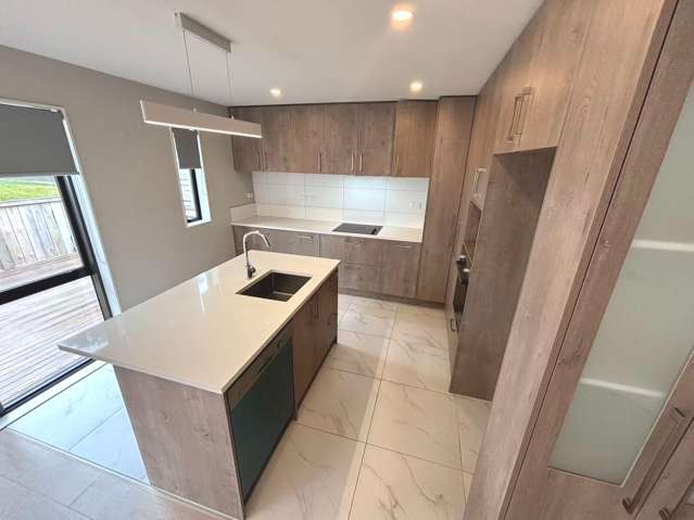 3D Routley Drive Glen Eden_1