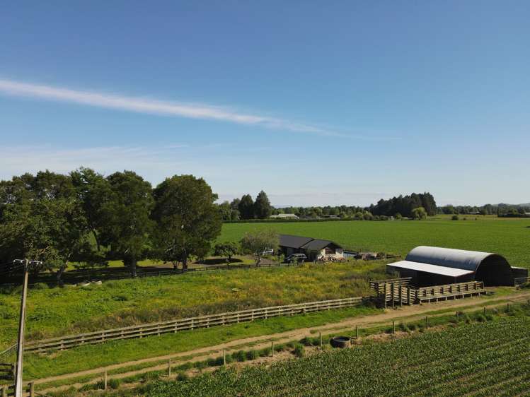 390 Marychurch Road Matangi_19