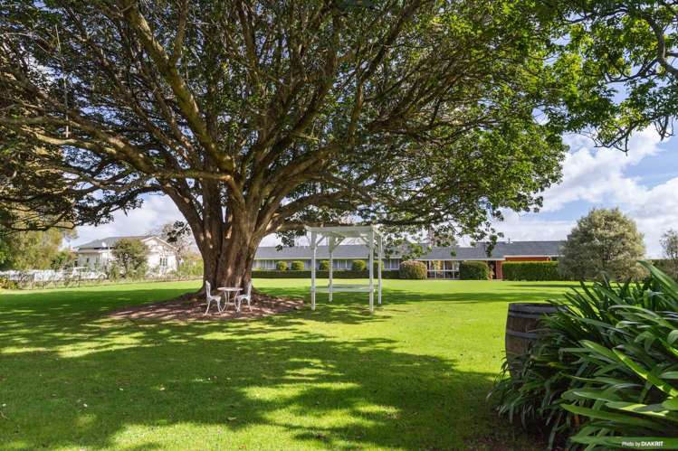 139 Dominion Road Tuakau_6