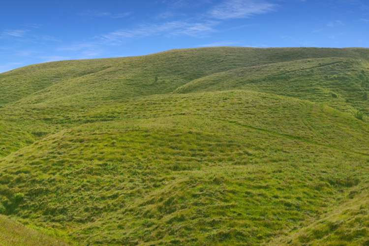 Fuchsia Creek Road Waitaki_5