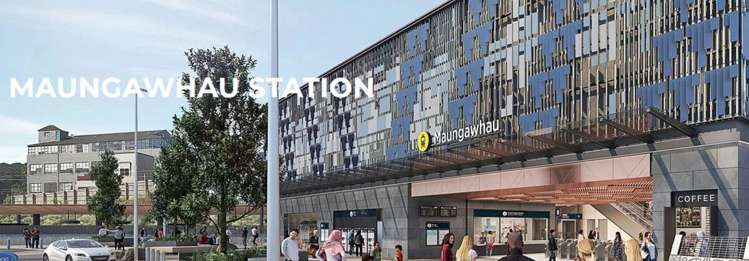 1 Ngahura Street Eden Terrace_2