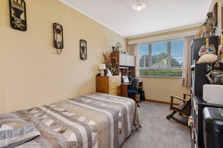 20 Sanders Avenue Morrinsville_5