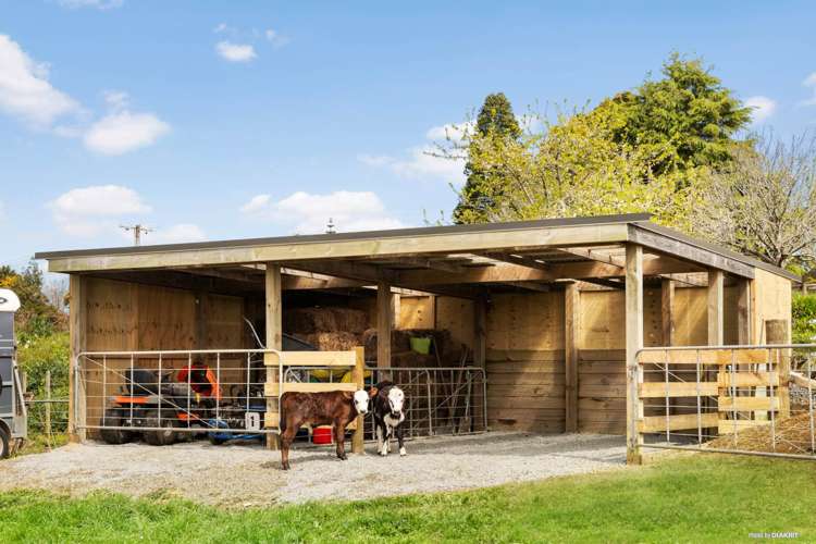 108a Morley Road Glenbrook_9