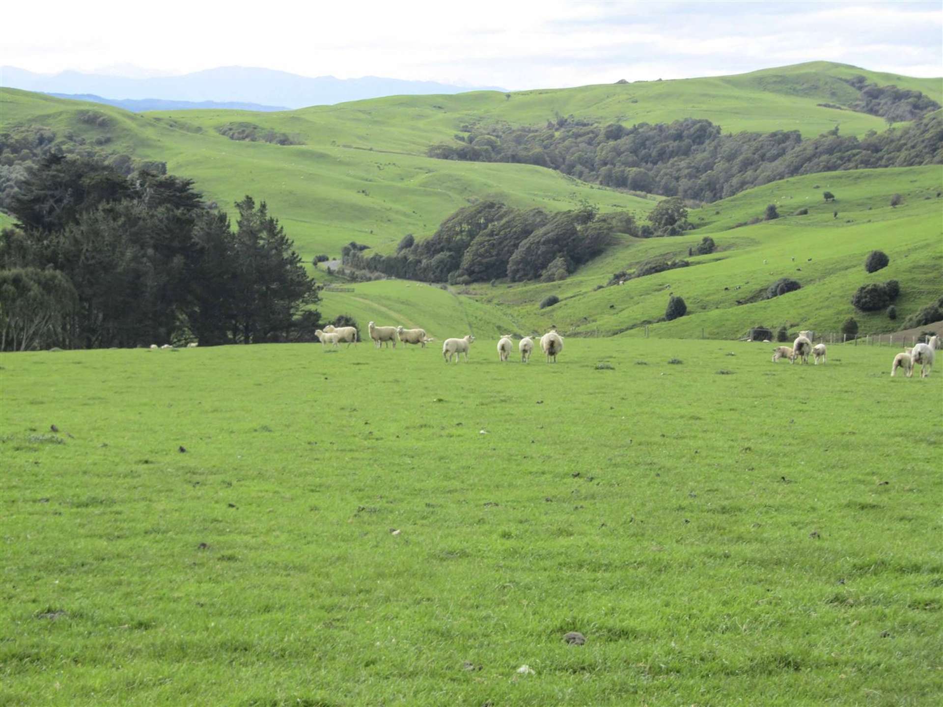 348 Happy Valley Road Tuatapere Southland Rural Property For Sale
