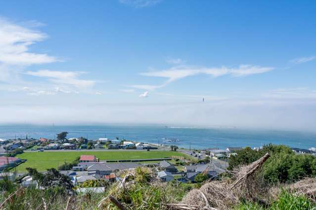 1 Elizabeth Street Bluff_2