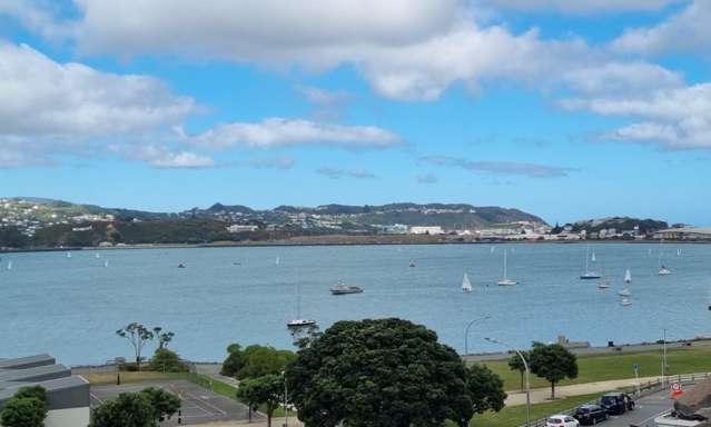 Stunning Water Views on Evans Bay