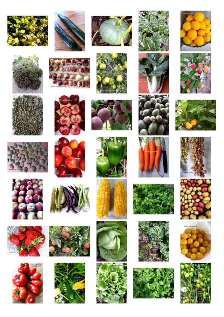 15 Cicada Place Hei Hei_21