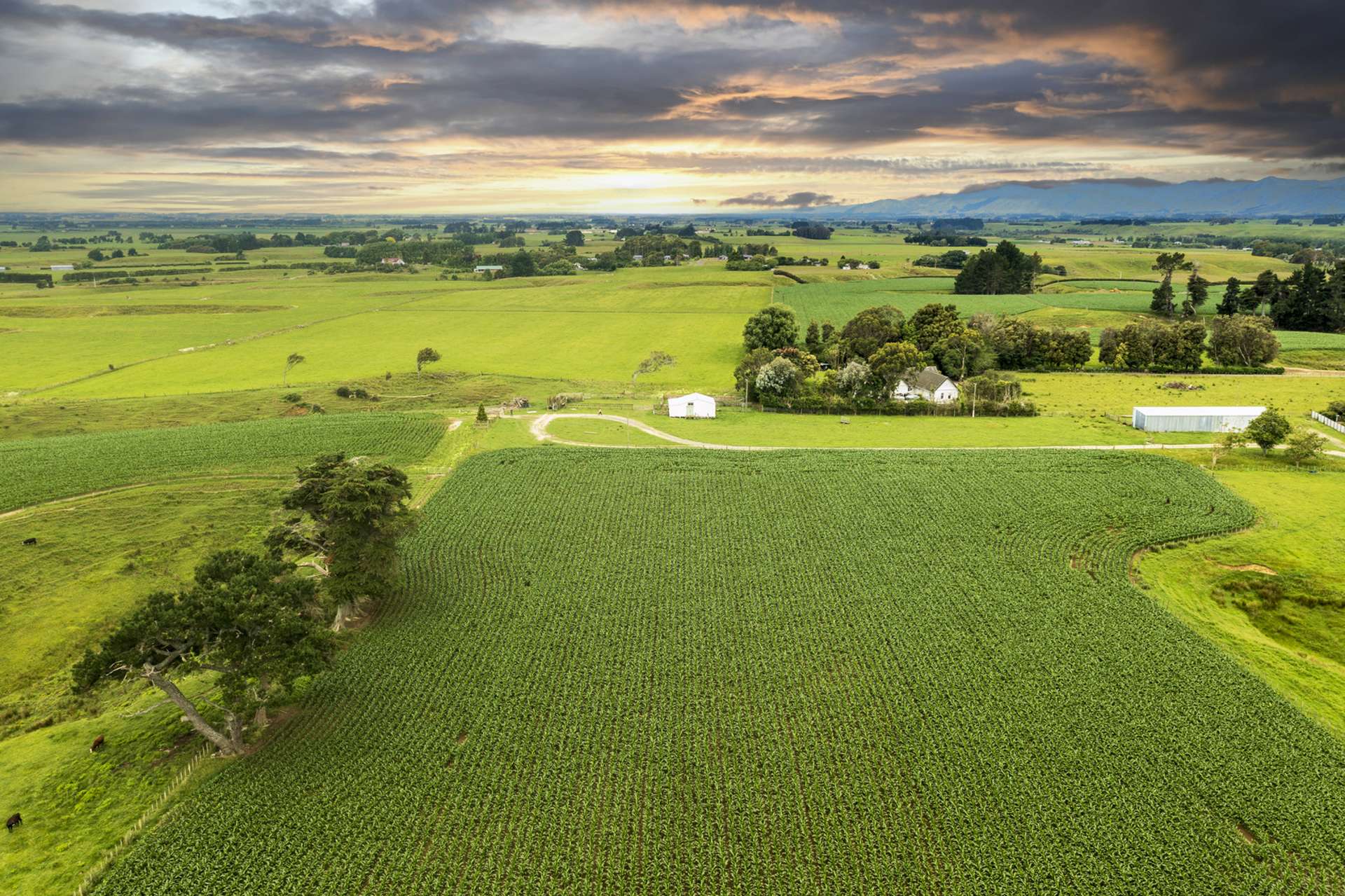 159 Koputaroa Road Levin_0