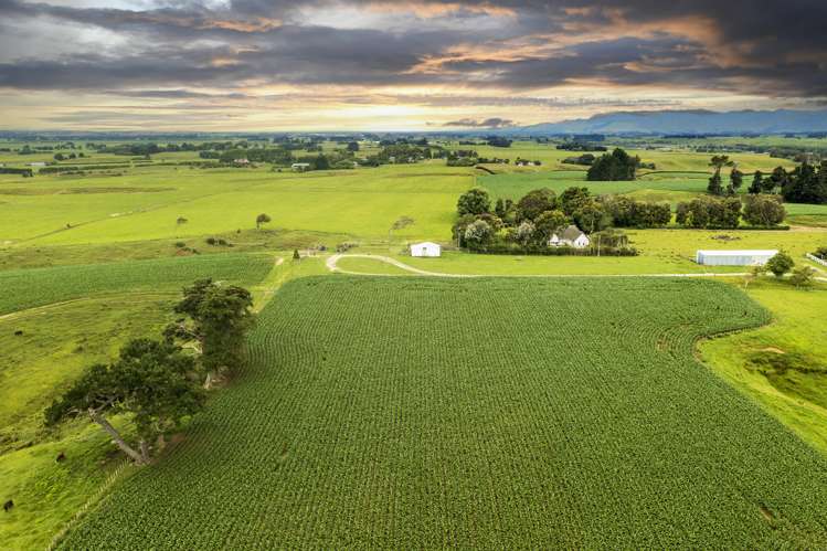 159 Koputaroa Road Levin_0