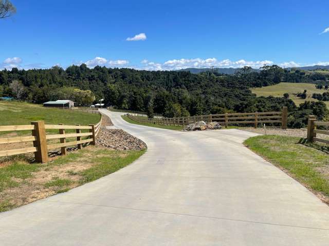 Mangawhai Bush Estate Mangawhai_1