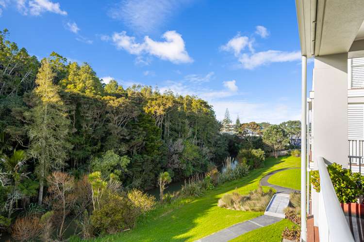 42 Eaves Bush Parade Orewa_3