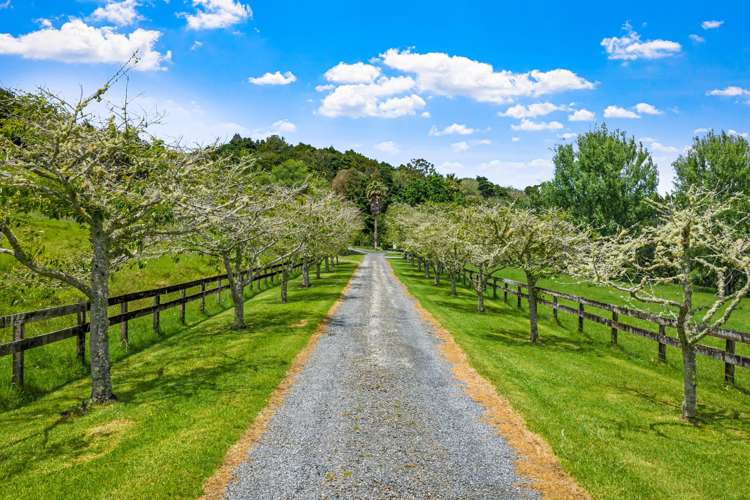 725 Woodcocks Road Warkworth_25