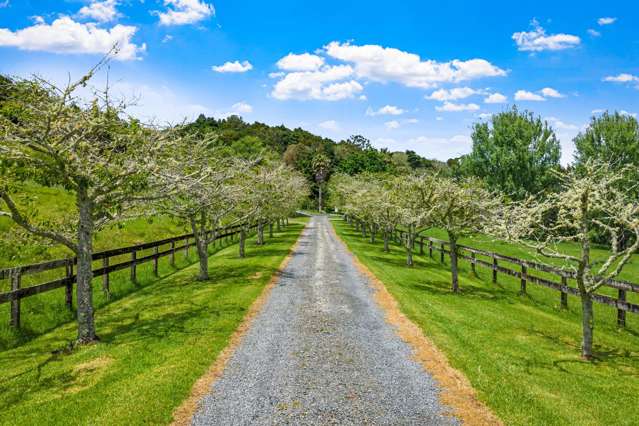 725 Woodcocks Road Warkworth_4