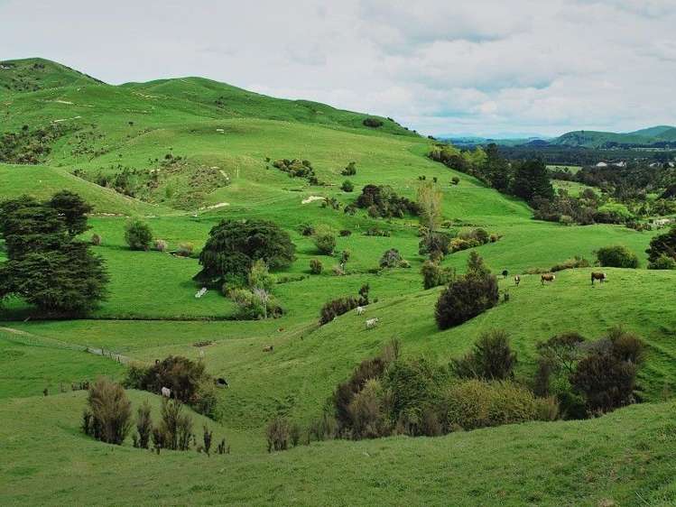 428 West Road Mauriceville_26