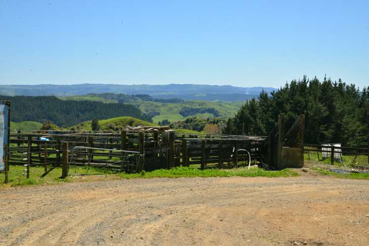 877 Puketawai Road Otorohanga_15