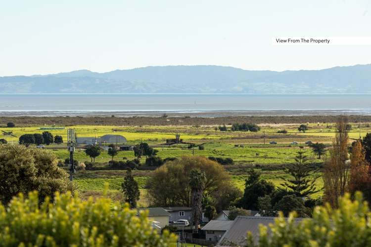 105 Whitehead Way Thames_21