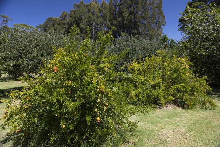 810 Gill Road Kaitaia_29