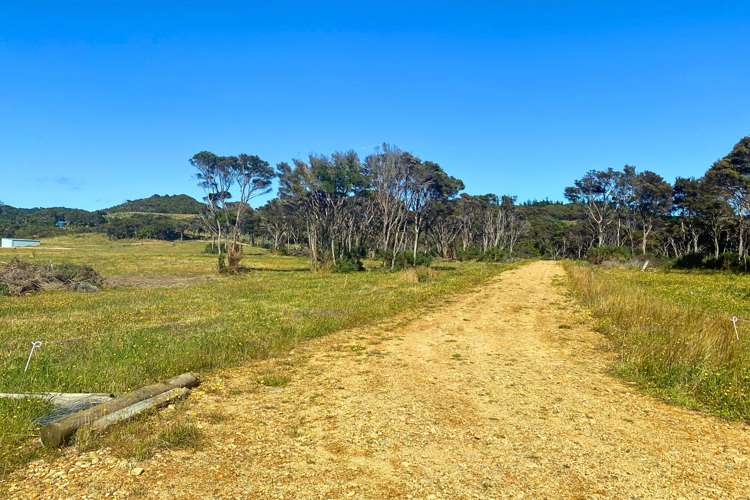 Lot 3/161 Wharariki Road_1