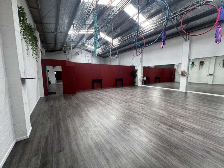 25 Carlyle Street Napier South_9