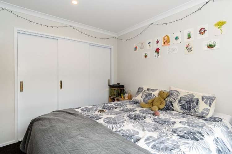 Flat / 92 Te Ranga Memorial Drive 11554_1