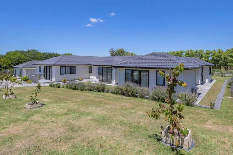 134 Postman Road Dairy Flat_6