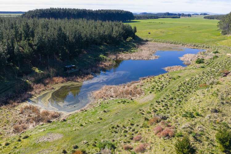 725 Raumai Road Bulls_6