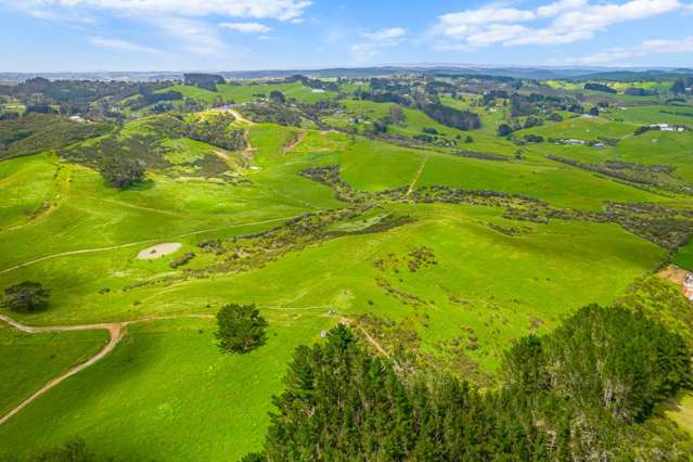 515 Kahikatea Flat Road Waitoki_4