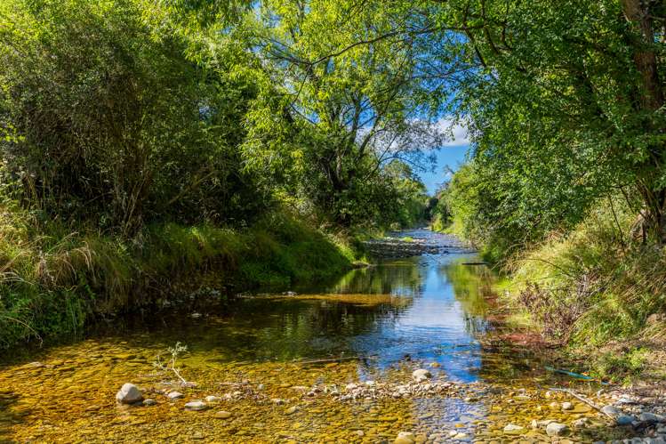 866 Dovedale Road Dovedale_18