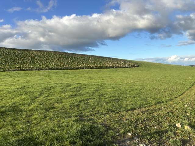 476 Hook School Road Makikihi_1