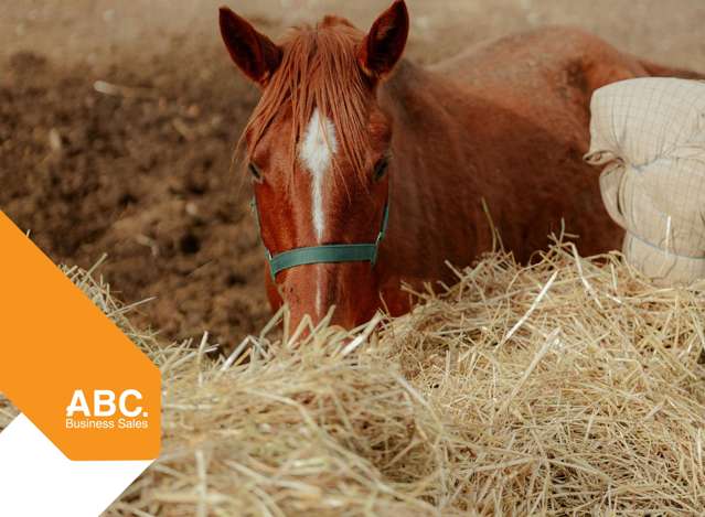 Highfields Equestrian - Established, Fully Managed