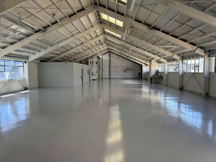 110 Orbell Street Sydenham_5