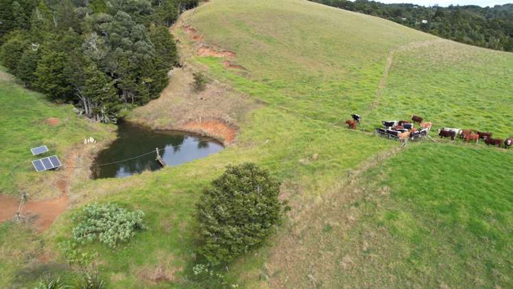 Hikurua Road Matauri Bay_7