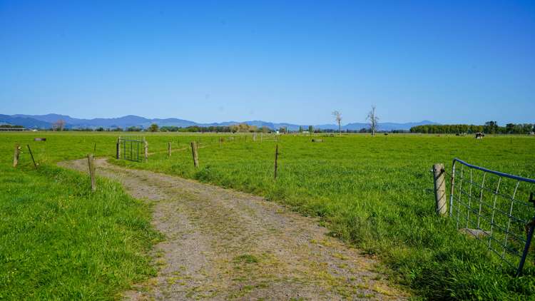 1944 State Highway 25 Orongo_6