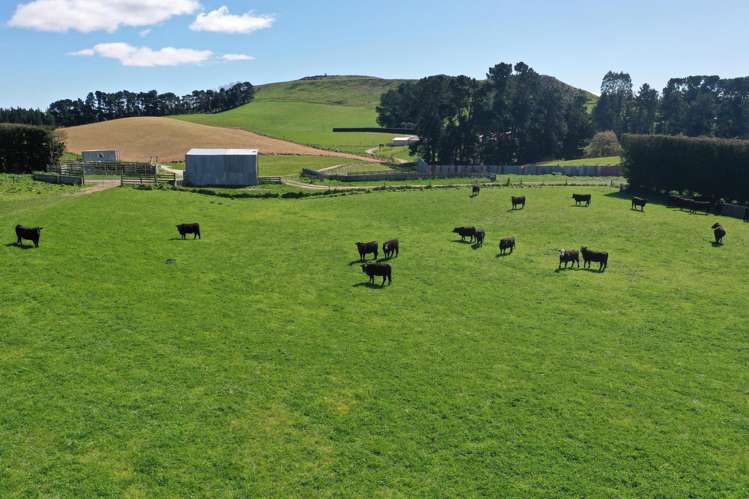 108 Brockman Road Oamaru_15