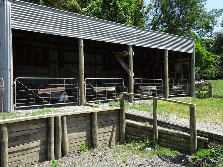 454 Parkville Road Eketahuna_13