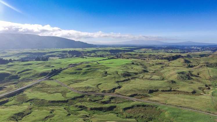 60 Bullians Road Owhango_10