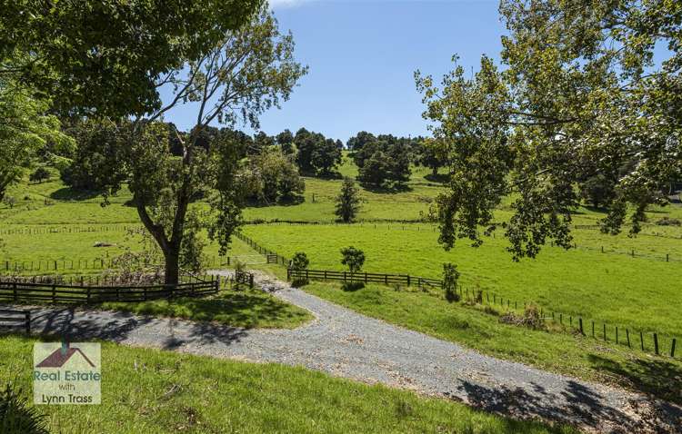 282 Whau Valley Road Whau Valley_21